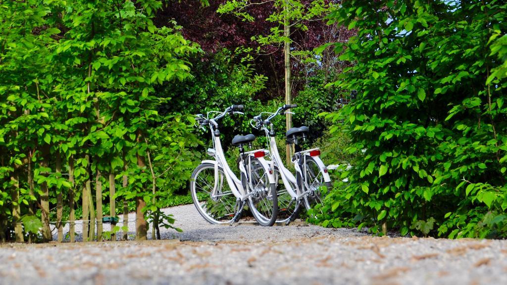 Marcel De Gand Business & Travel Bed and Breakfast Buitenkant foto